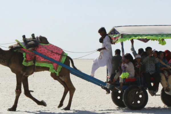 Enchanting Kutch: Bhuj & Rann of Kutch Experience