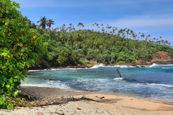 Sri Lanka 5 Nights/6 Days