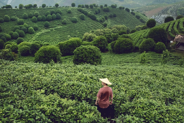 SriLanka 4 Nights/5 Days