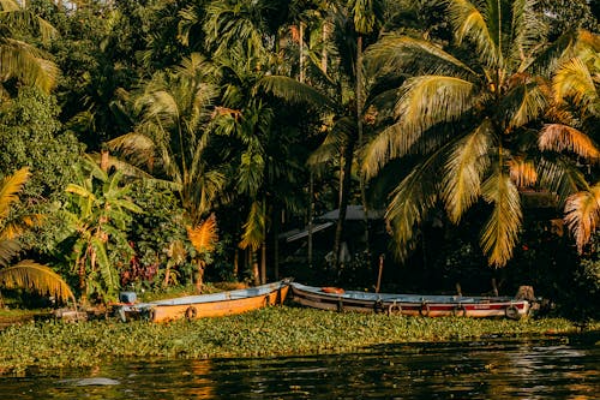 Kerala 4 Nights/5 Days