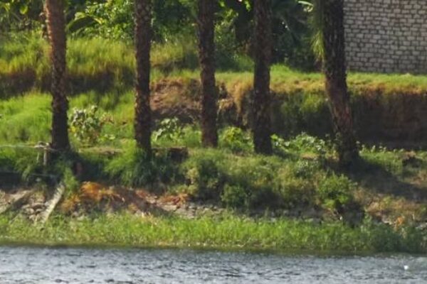 Dwarka & Somnath Tour 4 Nights/5 Days