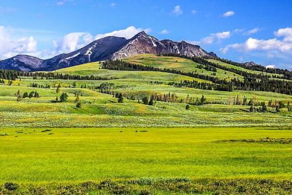 National Parks Wonders (Van Tour) 6 Nights/7 Days