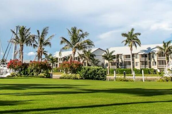 Western USA (University Tour) 7 Nights/8 Days