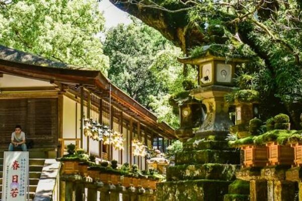 Japan Tours – 8 Nights/ 9 Days