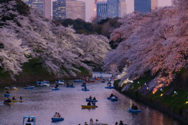 Shinkansen Special Japan’s Icons Tour
