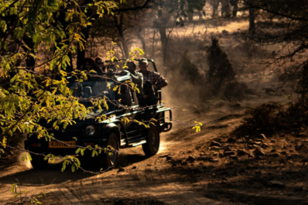 Tiger Trails 5 Nights/6 Days