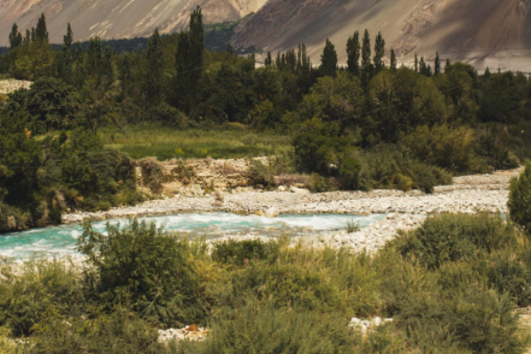 Himalayan Caravan 7 Nights/8 Days