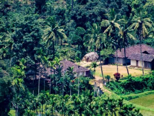 A Royal & Wild Sojourn 7 Days 6 Nights