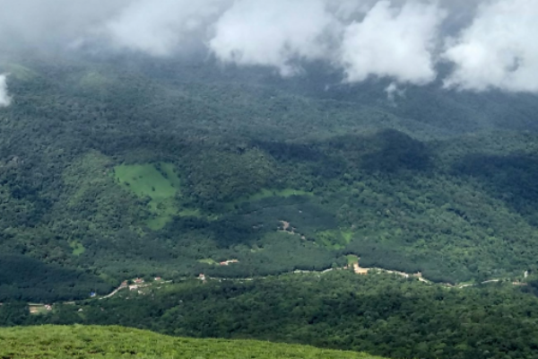 Royal Mysore to Misty Coorg