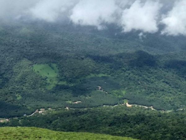 Royal Mysore to Misty Coorg